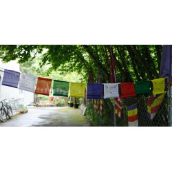 Multi-Deity Flags - Medium